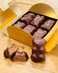 Oursons Guimauve au chocolat