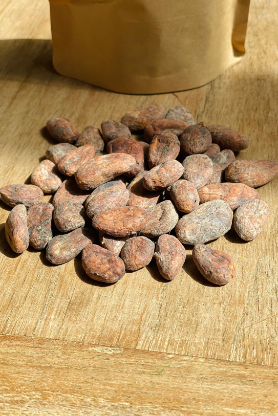 Fèves de cacao bio crues (200g)