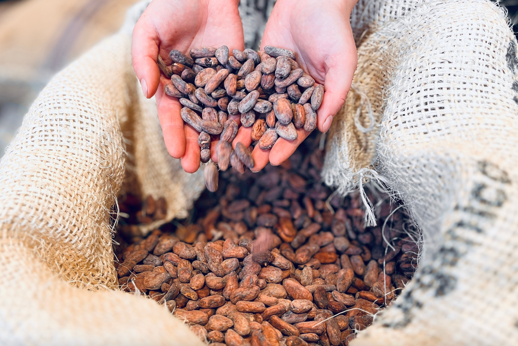 Qu'est-ce que le chocolat bean to bar ?