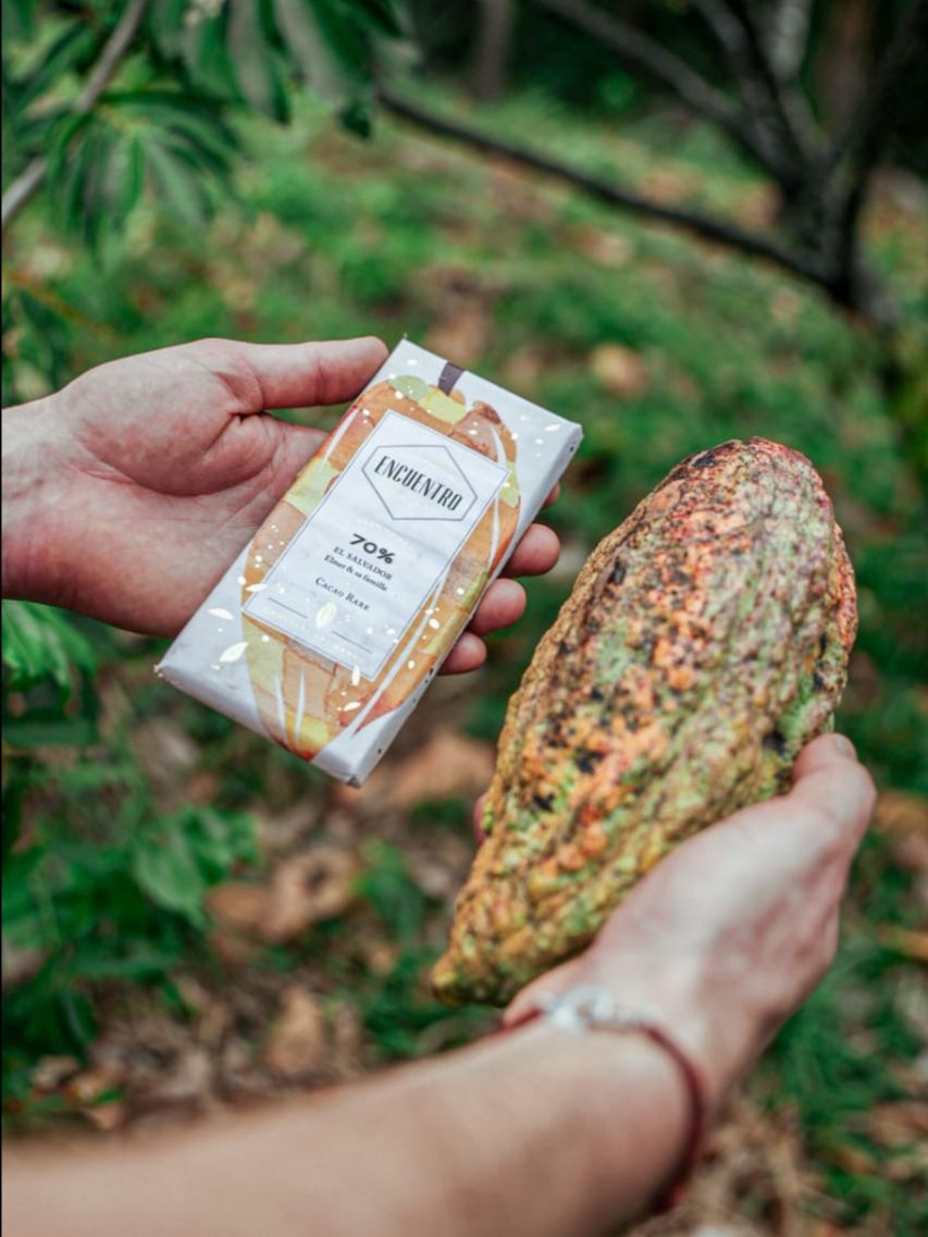 Le retour d’un cacao pas comme les autres : Elmer