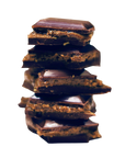 Fourrée Pistaches d'Iran Bio