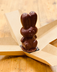 Lapin de Pâques Guimauve au Chocolat