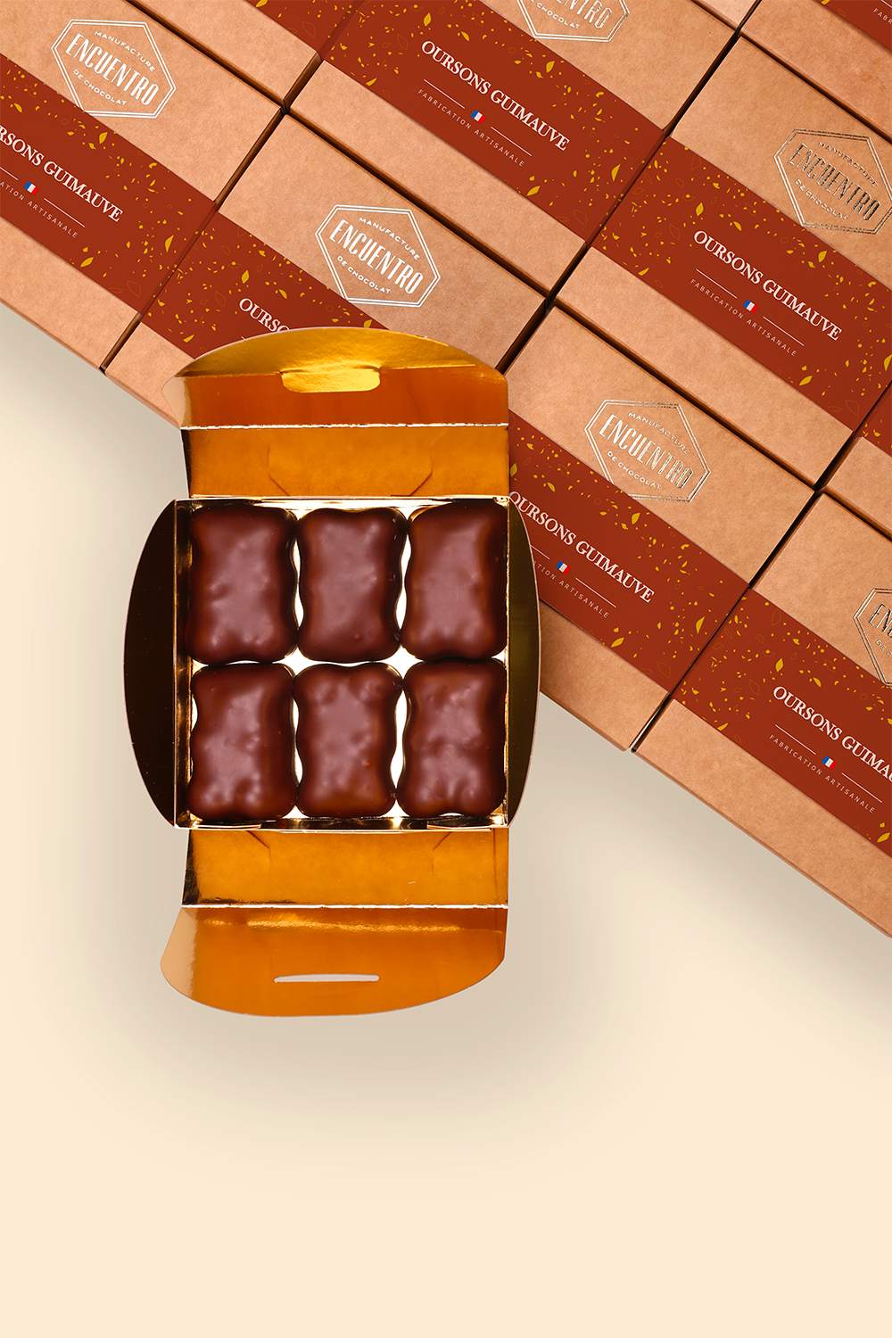 Oursons Guimauve au chocolat