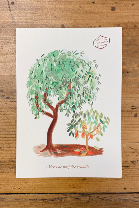 Carte Petit Cacaoyer